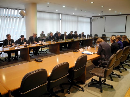 Sastanak članova ustavnopravnih povjerenstava obaju domova PSBiH i Povjerenstva za vanjske poslove Zastupničkog doma sa predsjednicom PS Vijeća Europe